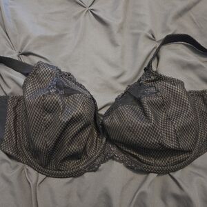 Elomi Charley Bra US 36J